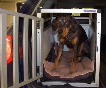 fenka Bowie v transportní kleci ALUTEC KK Hobby