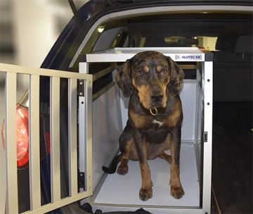 fenka Bowie v transportní kleci ALUTEC KK Hobby